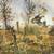 Quail Covey Print By David Hagerbaumer 4 thumbnail