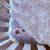 4 in 1 convertible crib with mattress 3 thumbnail