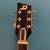 Duesenberg Paloma (mint) 6 thumbnail