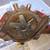 68-70 OLDSMOBILE WATER PUMP & PULLEY 6 thumbnail
