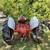 Ford 8N Tractor 3 thumbnail