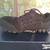Reebok Sublite safety toe work shoe - womens size 9 3 thumbnail