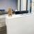 Flexible and Customizable Meeting Room – Designed for You 3 thumbnail