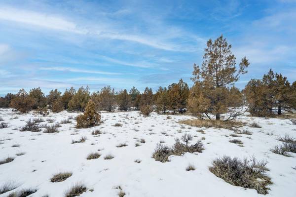 $89,999 5 Acres of Raw, Buildable Land (Prineville)63839289053059124