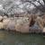 Duck hunting and fishing 19ft boat Camo blind shoots 3 hunters 2 thumbnail