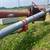 Peck 1004 10” 66’ Grain Auger w/Swing Hopper 10 thumbnail