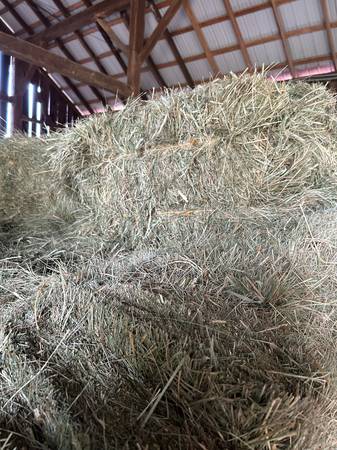 Mixed grass hay 2nd cutting 2025 1