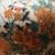 Vtg Kutani Japan cloisonne porcelain vase Butterflies flower excellent 12 thumbnail