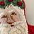 NEEDLEPOINT SANTA PILLOW-LN 3 thumbnail