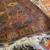 100% wool & Silk___Rug___8ftx10ft_Hand-Knotted -Custom Made 22 thumbnail