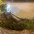 Gecko tank full set up fully automated water and light system+plant light+isopod 7 thumbnail