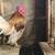 Bantam chickens 2 thumbnail