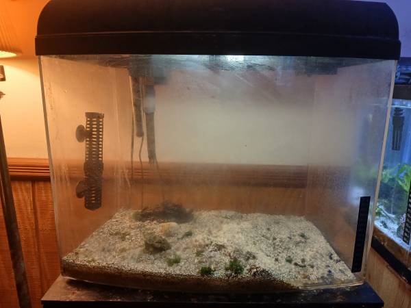12 Gal. Eclipse Fisk Tank 1
