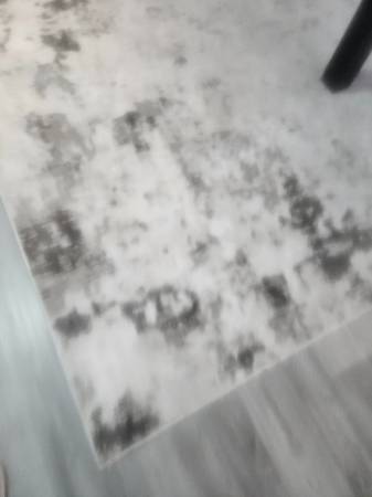 Carpet 10' X 8' Rug 1