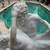 Life Size French Marble Sculpture of Satyr and Bacchante by James Pradier Circa  4 thumbnail