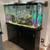 55 gallon aquarium with stand, fish, and light 1 thumbnail