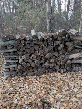 Face cord of firewood, cut last spring, ready to burn! 1