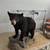 Town & Country Estate Sales 14 thumbnail