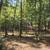 Arkansas  Ozarks 7 thumbnail
