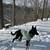 Black German shepherd 3 thumbnail