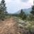 160 Acres in Markleeville 7 thumbnail