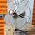 Antique Westinghouse Fan. Best Offer! 1 thumbnail