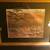 Framed Wildlife Prints 12 thumbnail