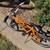 Dynacraft 20Inch Magna Throttle BMX RACING Bike 1 thumbnail