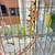 4 Young Parakeets w/ Ultra Nice, Large Flight Cage 4 thumbnail