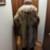 Winter Coat 2 thumbnail