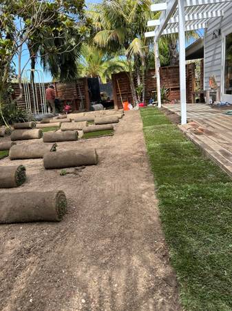 Clean and weeds remove 1