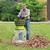 Leaf Mulcher Shredder 4 thumbnail