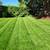 🍃🍂🍁 True Element LLC Hardscaping & Yard Maintenance🍁🍂🍃 24 thumbnail