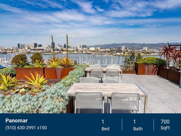 $2,935 / 1br - 700ft2 - Upgrades w/ Designer Finishes, Stunning Views - See Our Pics! (alameda)63785477259649120