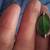6  star green sapphire stone pin 3 thumbnail