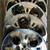 5 Jeep Wrangler 18' wheel HubCaps black red center 5 thumbnail