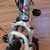Schwinn 21 Women's Mtn Bike 9 thumbnail