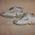 MENS COLUMBIA 9.5 HI-TOP HIKING SHOES 3 thumbnail