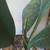 We Wet our Plants 4 thumbnail