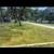 Tree service and Grass service!! 2 thumbnail