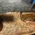 Rehoming ball python 2 thumbnail