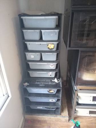 "ON HOLD "Snake rack top rack 6 levels 1