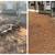 🌳 STUMP REMOVAL & GRINDING – FREE ESTIMATES – ORLANDO 📍 2 thumbnail