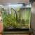 Rehoming Fish Tank 1 thumbnail