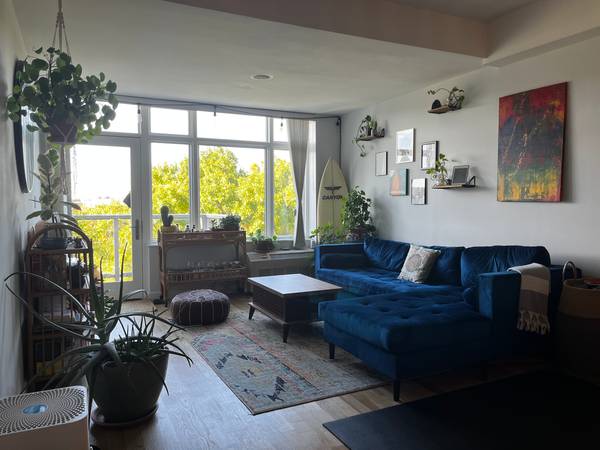 Sunny one-bedroom apartment with hardwood floors, large windows