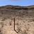 Mountain View Land – 20 Acres Near El Paso 9 thumbnail
