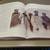 Truce by Jim Murphy hardcover Scholastic book 8 thumbnail