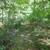 Prime Hunting Property and Cabin 7 thumbnail