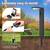 NEW 6 Pack Super Bright Solar Pathway Lights Outdoor 2 thumbnail