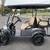 Brand New Gas Golf Carts - Public Auction - No Reserves 4 thumbnail